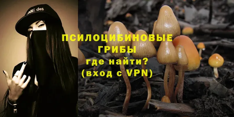 Псилоцибиновые грибы Magic Shrooms  закладка  Иннополис 